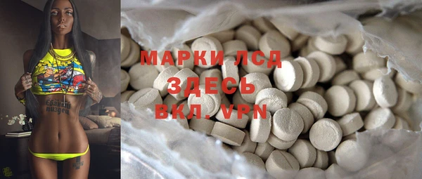 хмурый Алексин
