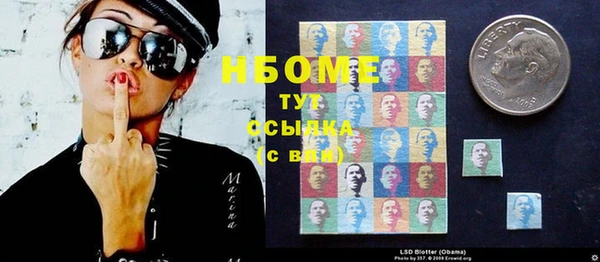 хмурый Алексин