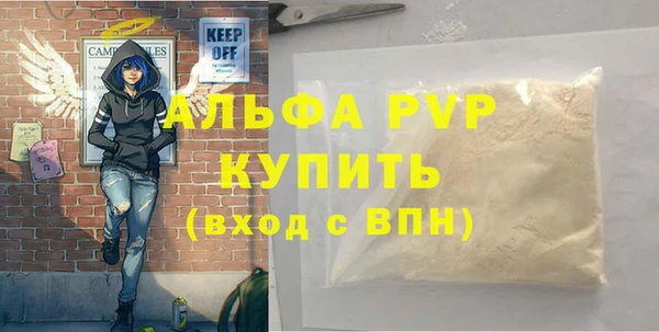 хмурый Алексин
