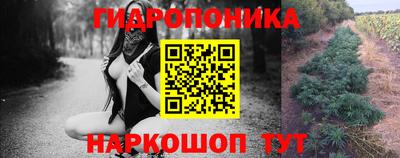 прущий лед Новозыбков