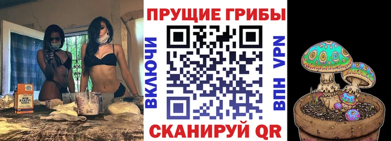 купить наркотик  ссылка на мегу рабочий сайт  Псилоцибиновые грибы Psilocybe  Уварово 